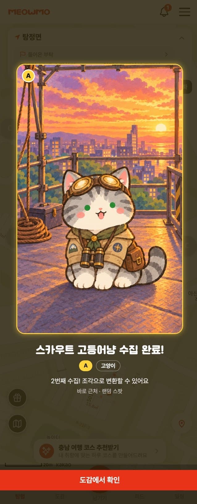 수집 화면